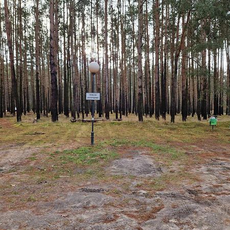 RadzyńLesny Zakatek Nr 2アパートメント エクステリア 写真