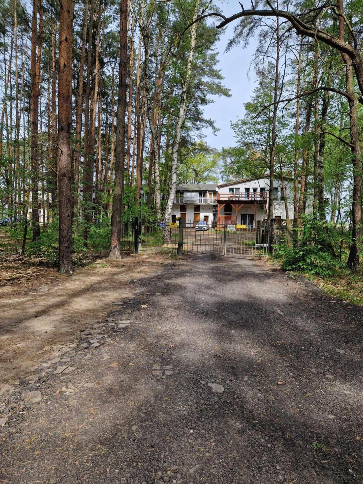 RadzyńLesny Zakatek Nr 2アパートメント エクステリア 写真